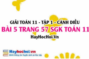 Giải bài 5 trang 57 Toán 11 tập 1 SGK Cánh Diều